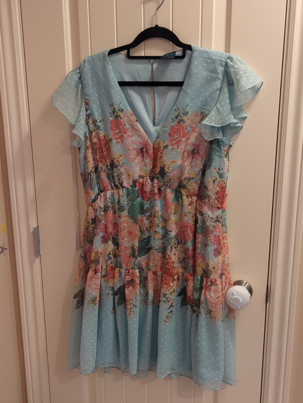 Fits Like A Large. Floral V-Neck Ruffled Sleeve Dress in Light Blue